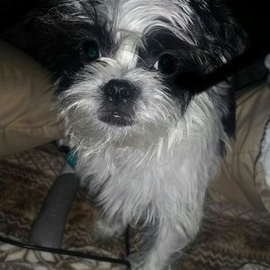 Meet your Posher, Teri